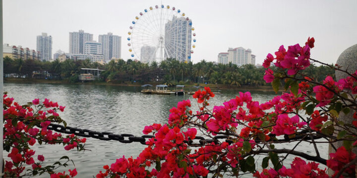 中心公園