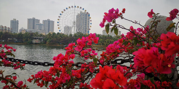 中心公園