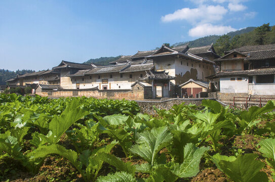 土樓鄉(xiāng)村印象