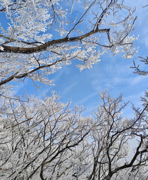 霧淞
