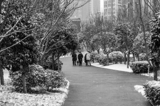 公園雪景