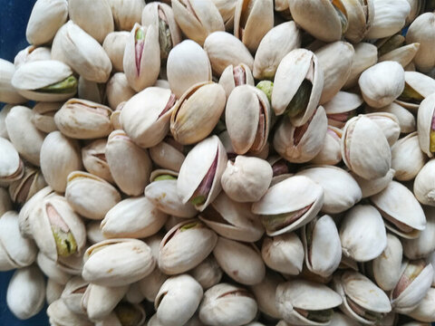 開心果