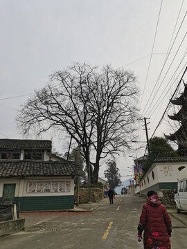 三堆鎮(zhèn)