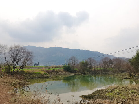 鄉(xiāng)村田野