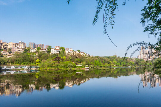 城市公園