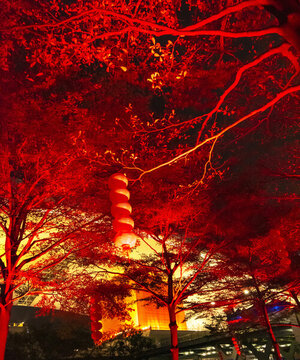 紅色景觀燈