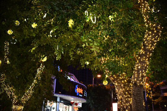 樹(shù)上彩燈