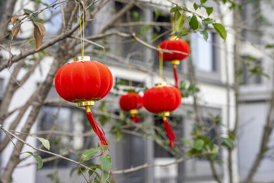 小區(qū)里懸掛的紅色燈籠