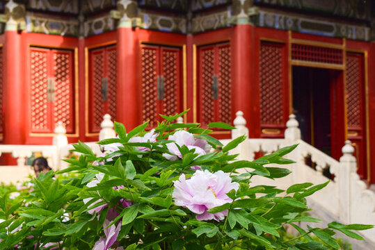 皇家園林