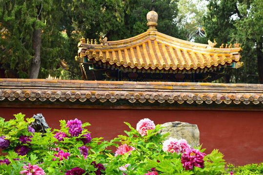 故宮御花園