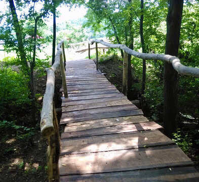 綠蔭掩映的木橋