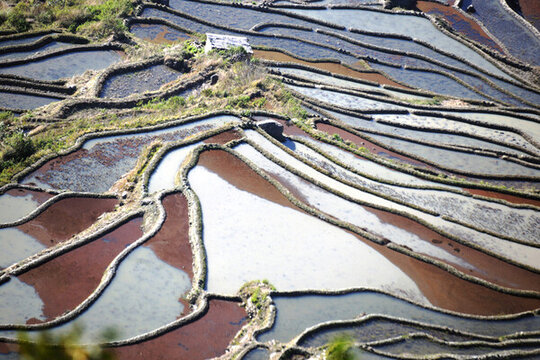 元陽(yáng)梯田