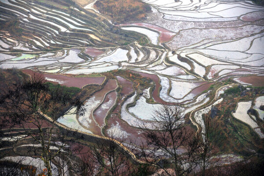 元陽(yáng)梯田