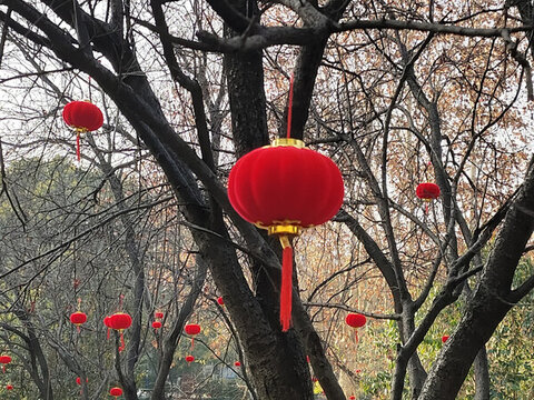 一串燈籠