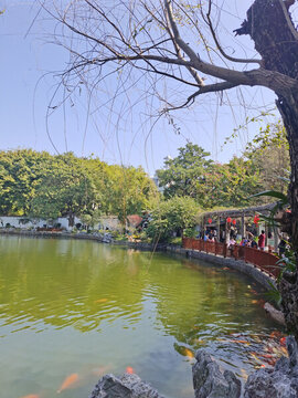 天鵝湖