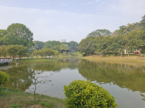植物園