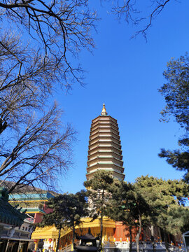 北京八大處佛牙舍利塔