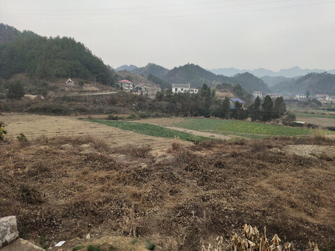 鄉(xiāng)村住宅