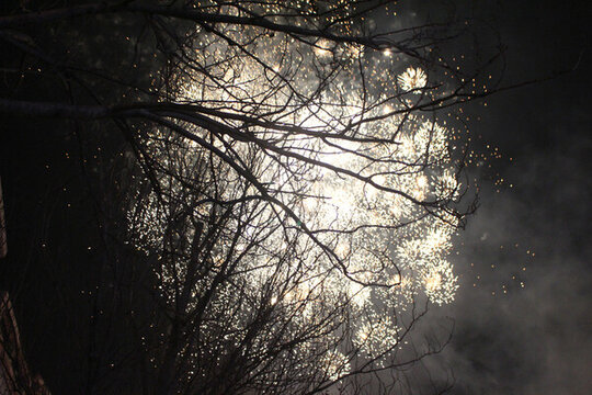 春節(jié)除夕夜晚煙花