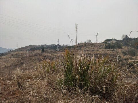 山坡上的電力鐵塔