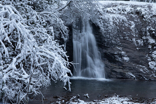 冬季雪景樹林森林和瀑布