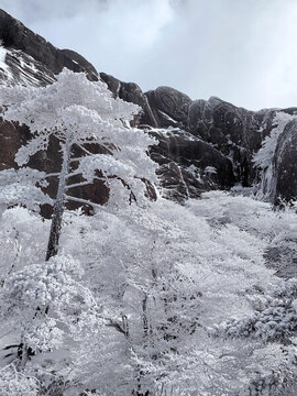黃山雪景