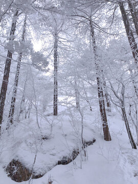黃山雪景