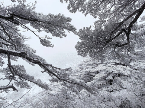 黃山雪景