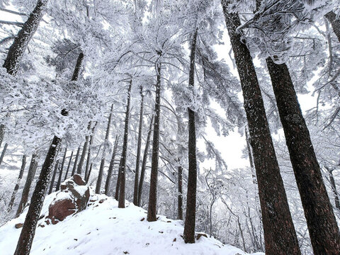 黃山雪景