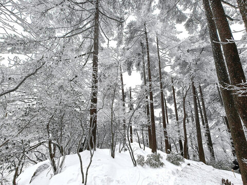 冬季黃山