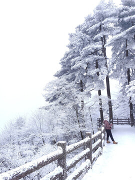 冬季黃山