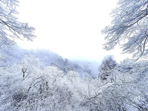 冬季黃山