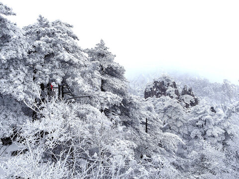 冬日黃山