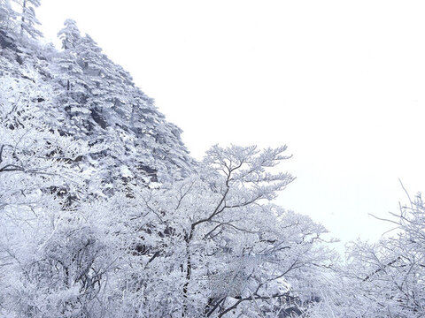 黃山雪景