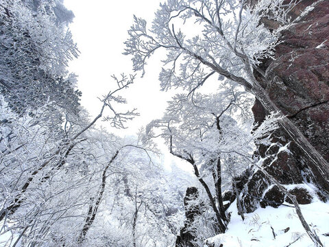 黃山雪景