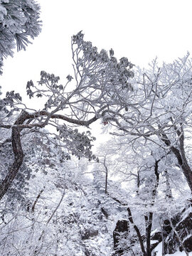 黃山雪景