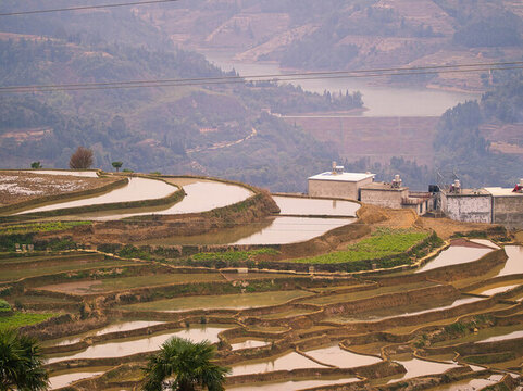 甲寅梯田