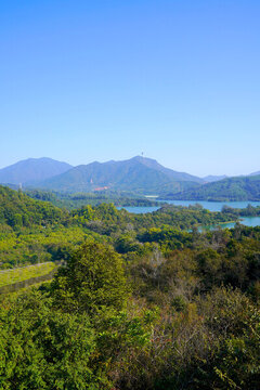 樹木水庫深圳梧桐山電視塔