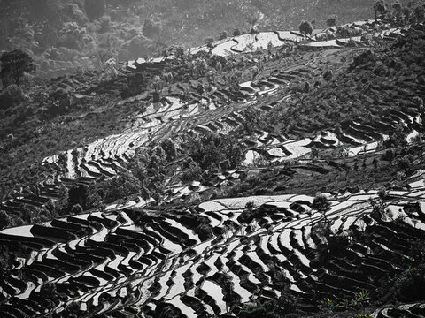 梯田線(xiàn)條美