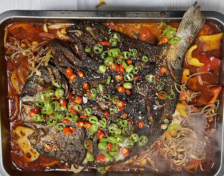 辣椒偏口魚