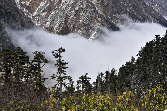 高山云海
