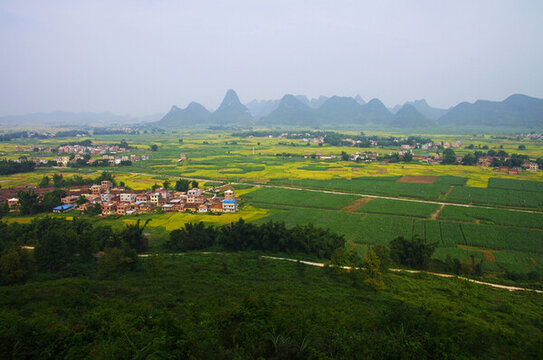 鄉(xiāng)村風(fēng)景田園風(fēng)光