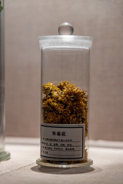 中藥材懷菊花