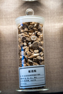 中藥材板藍根