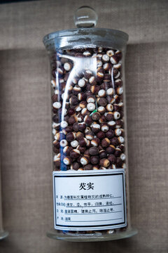芡實(shí)