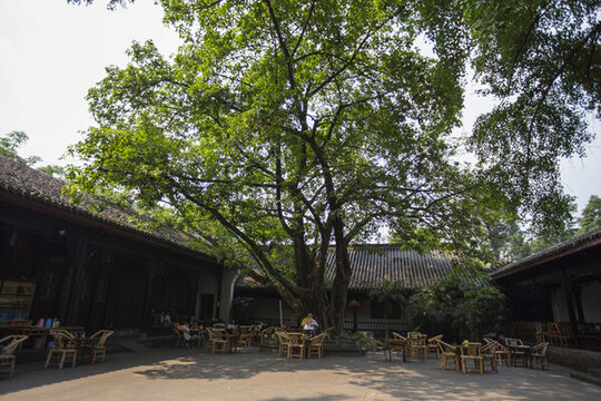 成都茶館