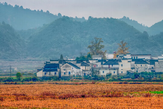 婺源田園風(fēng)光