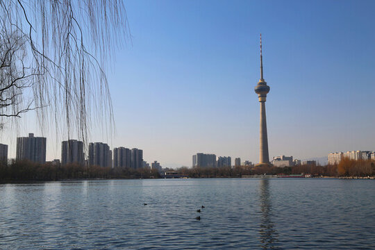 玉淵潭公園景色