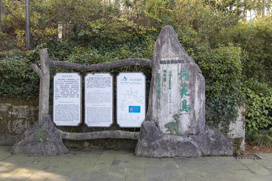 千島湖桂花島