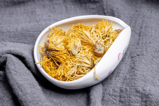 金絲皇菊
